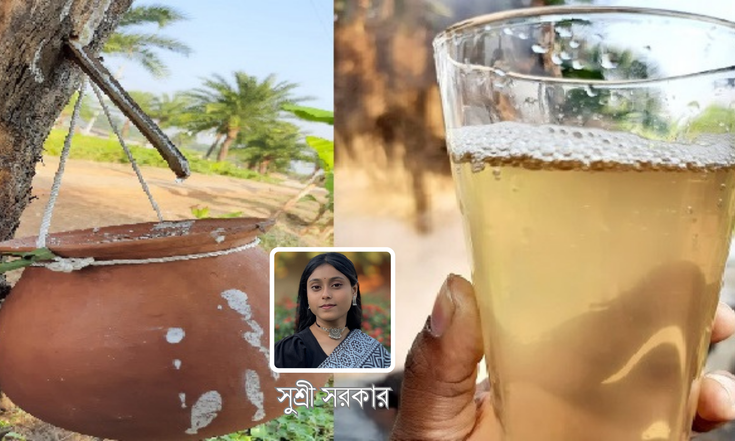 খেজুরের রসের মিষ্টি ঘ্রাণে লুকিয়ে থাকা আতঙ্ক