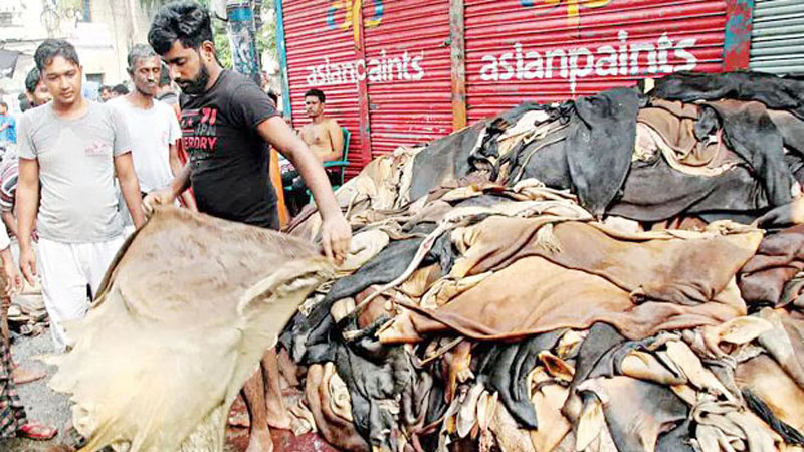 চামড়া সংগ্রহে অনাগ্রহে ক্ষুদ্র ও মৌসুমী ব্যবসায়ীরা