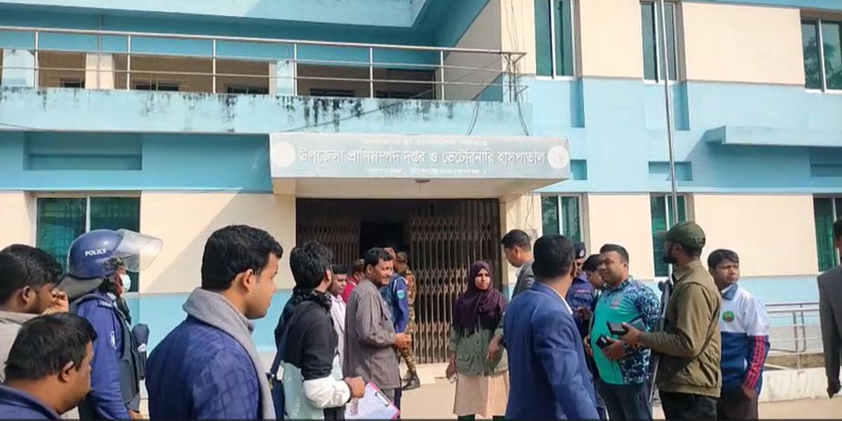 নাচলে সরকারি পশুখাদ্য পাচারকালে গ্রেপ্তার ১