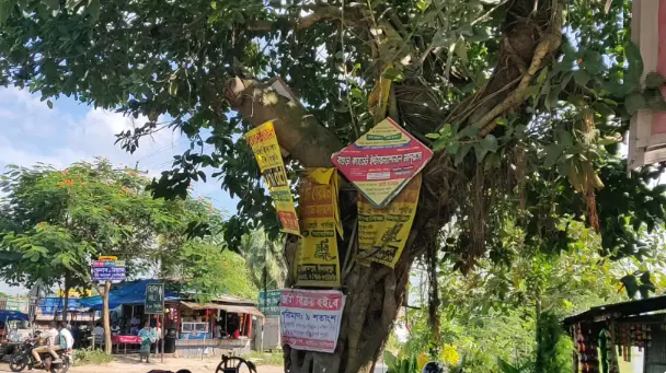 গাছে পেরেক লাগালে ২০ হাজার টাকা জরিমানা, অধ্যাদেশ জারি